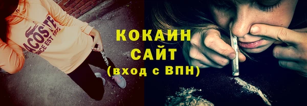 гидра Карпинск
