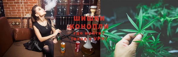 гидра Карпинск