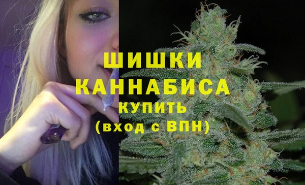 гидра Карпинск