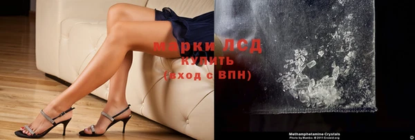 гидра Карпинск