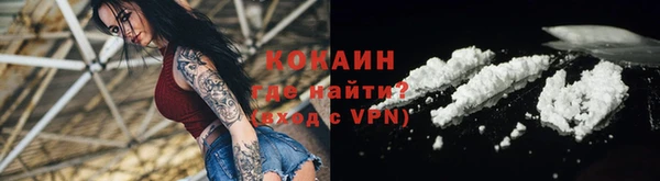 гидра Карпинск