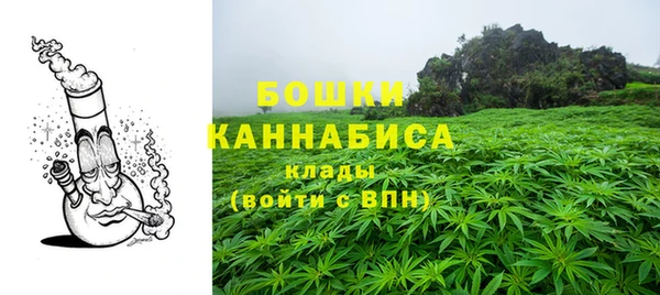 СК Касимов