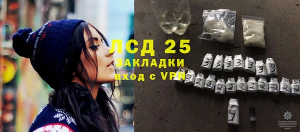 гидра Карпинск