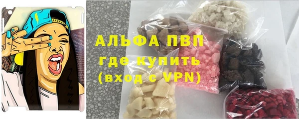гидра Карпинск