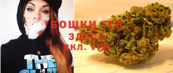гидра Карпинск