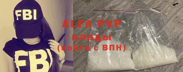 гидра Карпинск
