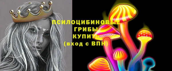 гидра Карталы