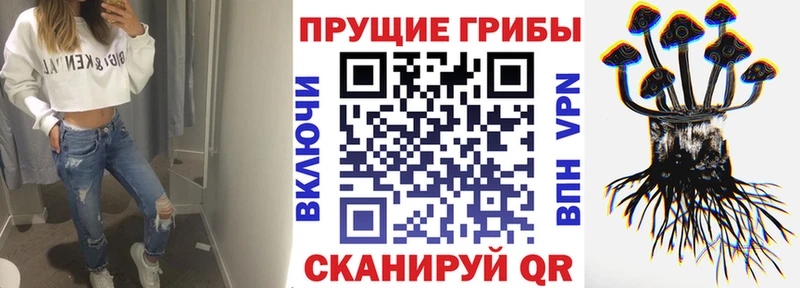 Псилоцибиновые грибы Psilocybe  Купить закладки  Калязин 
